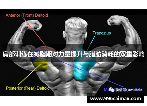 肩部训练在减脂期对力量提升与脂肪消耗的双重影响
